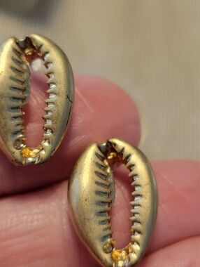 Gold Cowrie Shell Stud Earrings - Women Jewelry